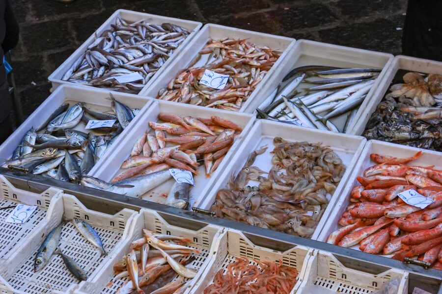 Catania: Street Food Guided Walking Tour - Around Catania Cathedral and the Fish Market