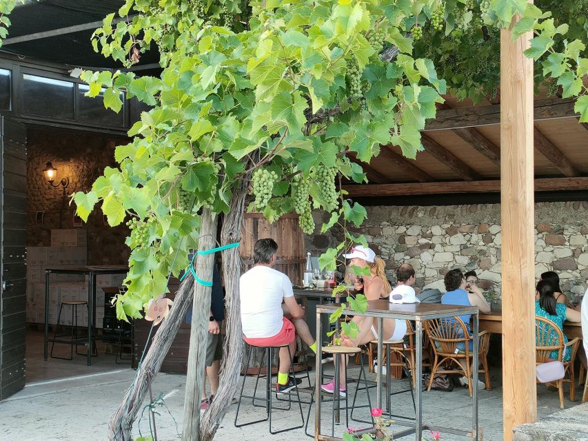 Cavaion: Lake Garda Wine & Food Tasting with Vineyard Tour - Key points to know before booking
