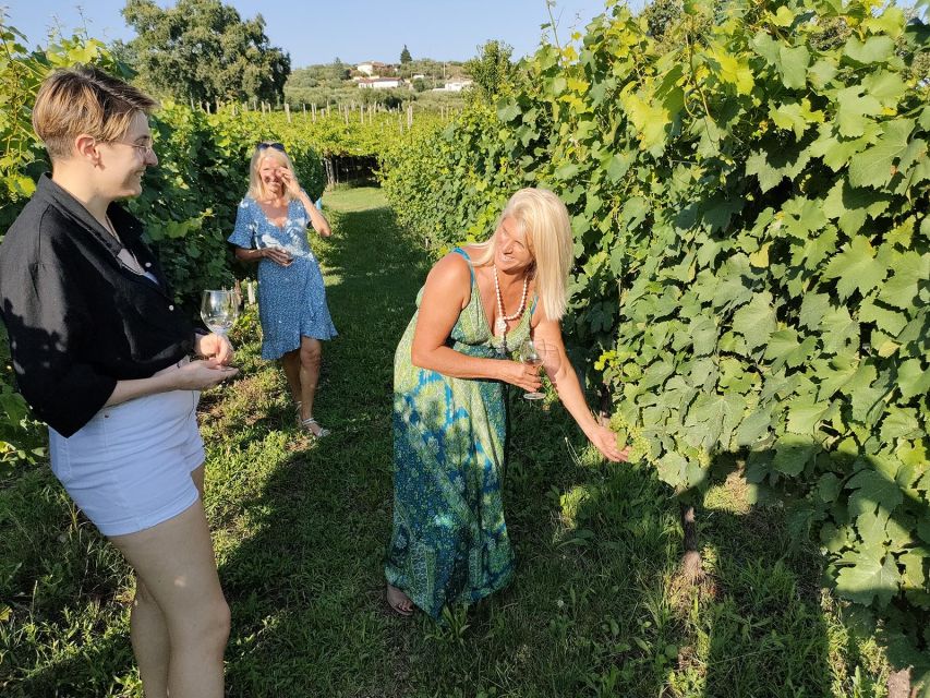 Cavaion: Lake Garda Wine & Food Tasting with Vineyard Tour - A quiet corner of Lake Garda wine country