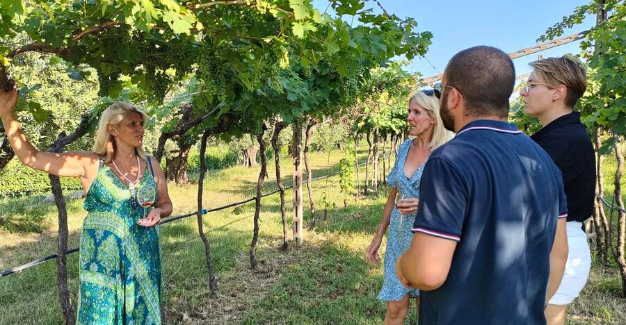 Cavaion: Lake Garda Wine & Food Tasting with Vineyard Tour - Tasting three or five wines
