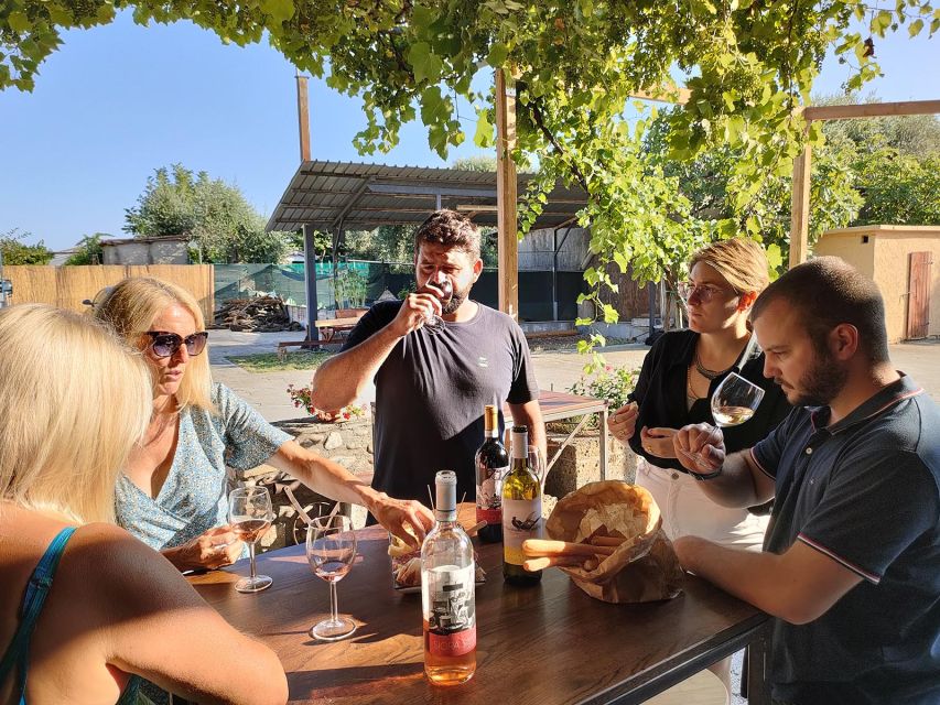 Cavaion: Lake Garda Wine & Food Tasting with Vineyard Tour - Getting there requires a little planning