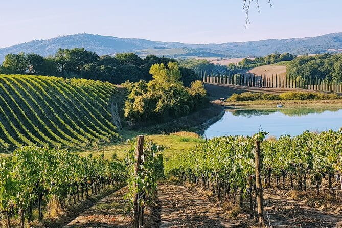 Chianti Wine Tastings Day Trip at Sunset from Florence - What makes this Chianti trip worth considering