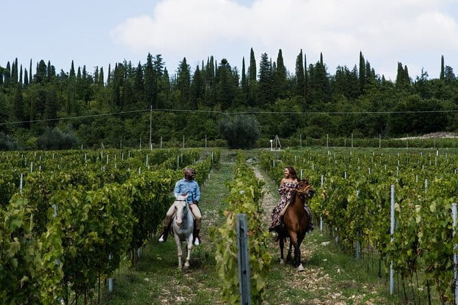 Chianti Wine Tastings Day Trip at Sunset from Florence - Golden-hour views and the sunset promise