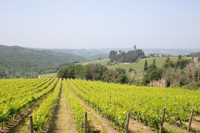 Chianti Wine Tastings Day Trip at Sunset from Florence - Montefioralle and the quick photo pause