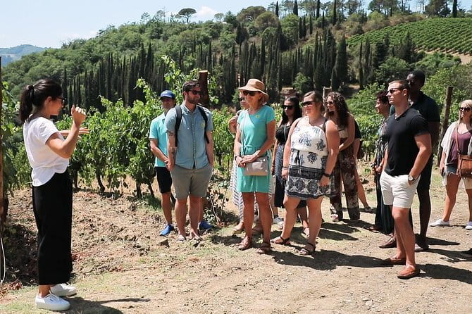 Chianti Wine Tour from Florence - Leaving Florence by coach for the Via Chiantigiana