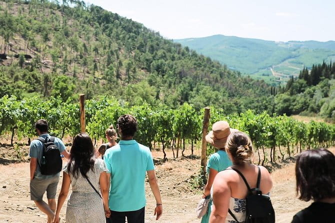 Chianti Wine Tour from Florence - Crossing the Sienese hills to the second estate