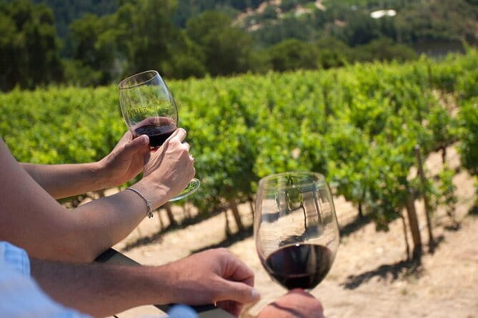Chianti Wine Tour from Florence - Walking, weather, and practical comfort