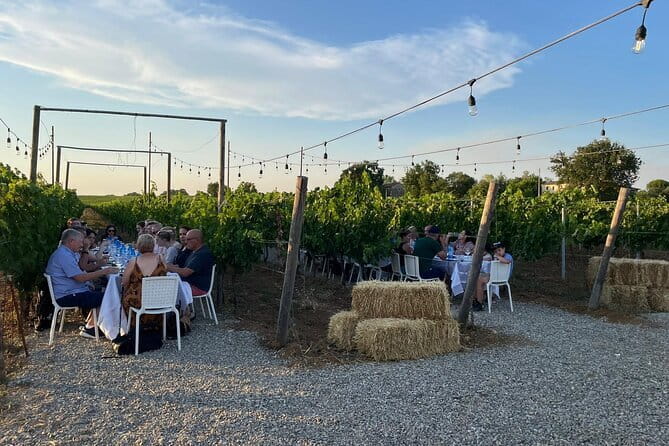 Chianti Wine Tour from Florence with Tastings - Why this Chianti trip works for a first taste of Tuscany