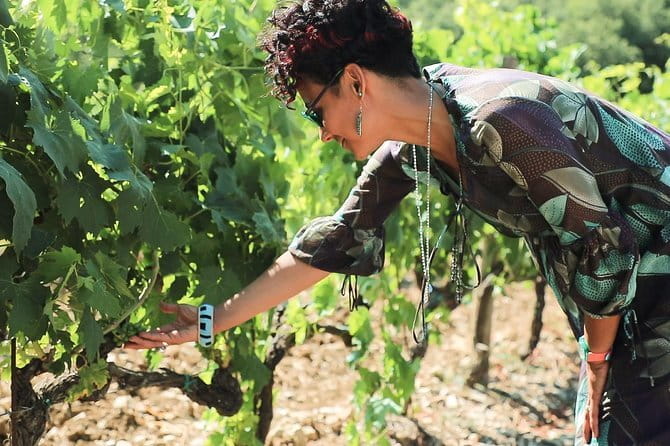 Chianti Wine Tour from Florence - First winery: a small organic producer in Chianti Classico