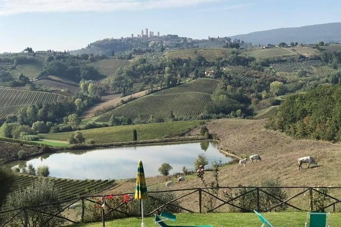 Chianti Wineries Tour with Tuscan Lunch and San Gimignano - Why this Chianti day works well from Florence