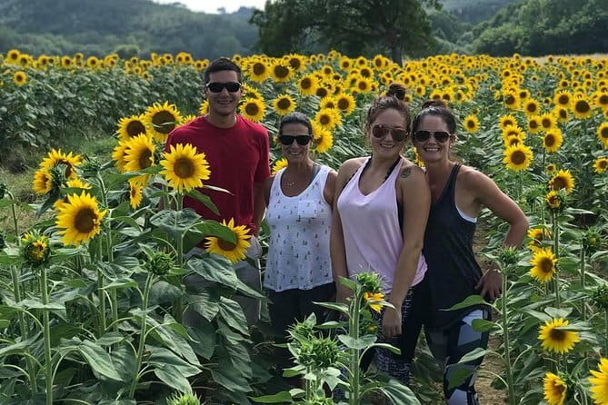 Chianti Wineries Tour with Tuscan Lunch and San Gimignano - San Gimignano, towers, streets, and a short break