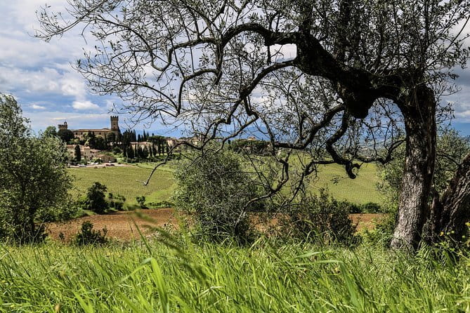 Chianti Wineries Tour with Tuscan Lunch and San Gimignano - What the guide adds to the day