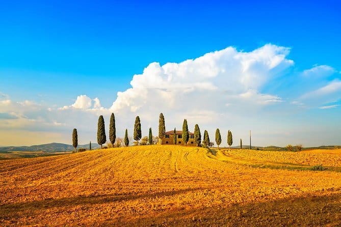 Cinque Terre and Pisa Full Day Tour from Florence - Pisa’s Piazza dei Miracoli