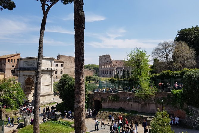 Colosseum Arena Floor, Roman Forum and Palatine Hill Guided Tour - What the strongest guides add