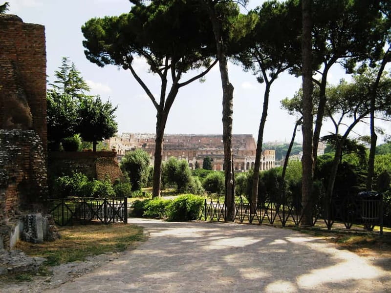 Colosseum, Forum & Palatine Hill Guided Walking tour - Reading the Roman Forum beyond the ruins