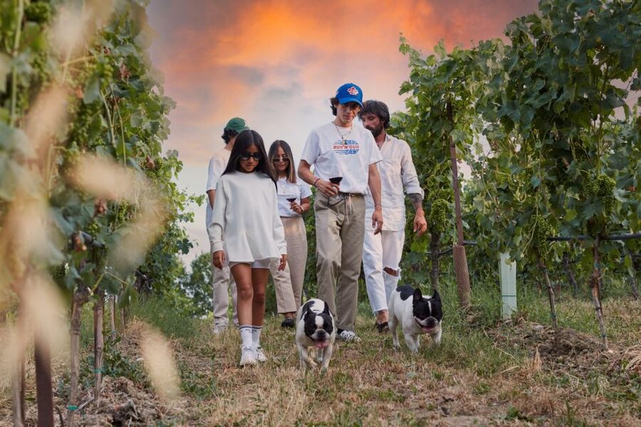 Desenzano: Lugana Wine-Tasting and Vineyard Tour - Why this winery visit works near Lake Garda