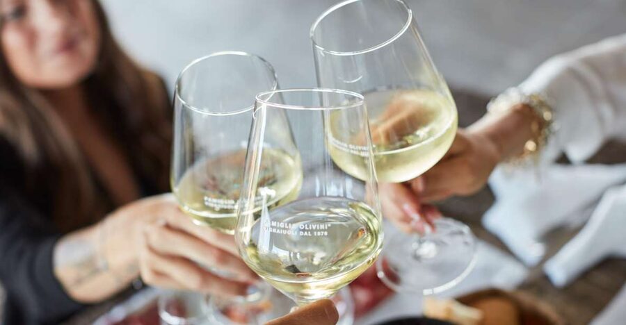Desenzano: Lugana Wine-Tasting and Vineyard Tour - Walking through the vineyards