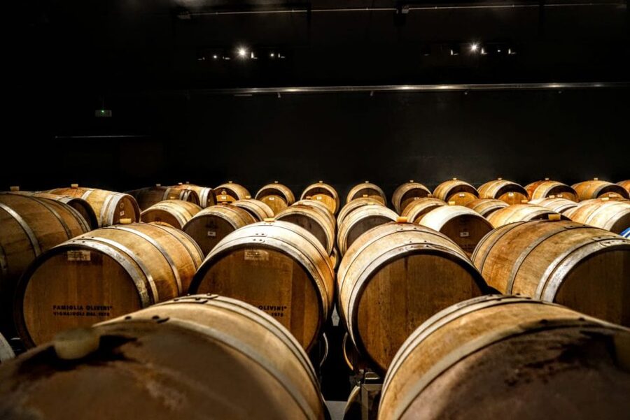 Desenzano: Lugana Wine-Tasting and Vineyard Tour - The value of $59 per person