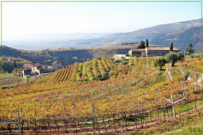 Discover Valpolicella Vineyards and Wine Tasting Experience - The Terrace Is Part of the Experience