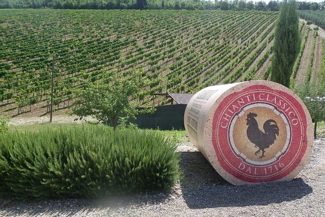 Essence of Chianti Small Group Tour with Lunch and Tastings from Florence - Key Points Before You Book