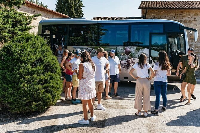 Essence of Chianti Small Group Tour with Lunch and Tastings from Florence - Tenuta Riseccoli: An Organic Family Winery