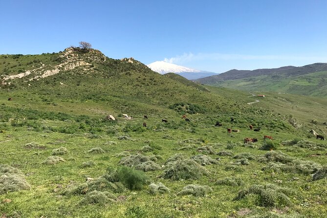Etna Morning Jeep Tour - Rifugio Sapienza at 1,910 metres