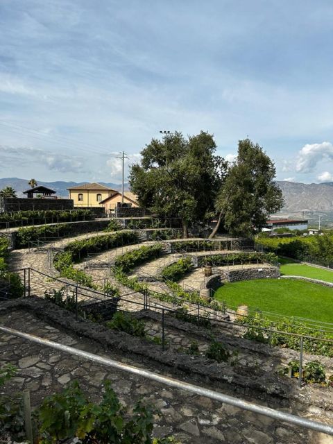 Etna: Wine Tasting and Food Tour - Who should book this Etna wine tour?