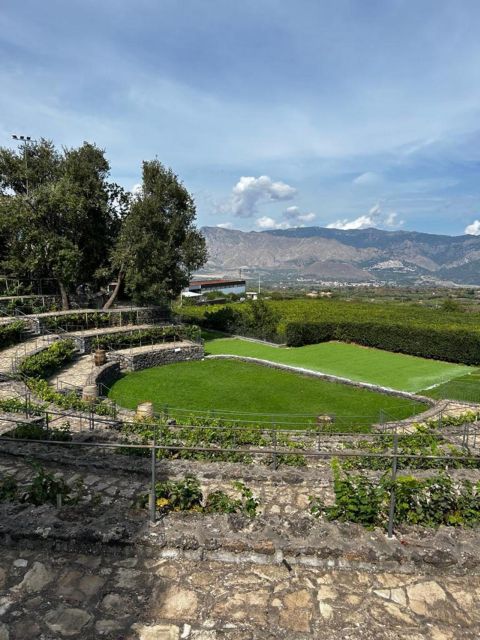 Etna: Wine Tasting and Food Tour - Should you book it?