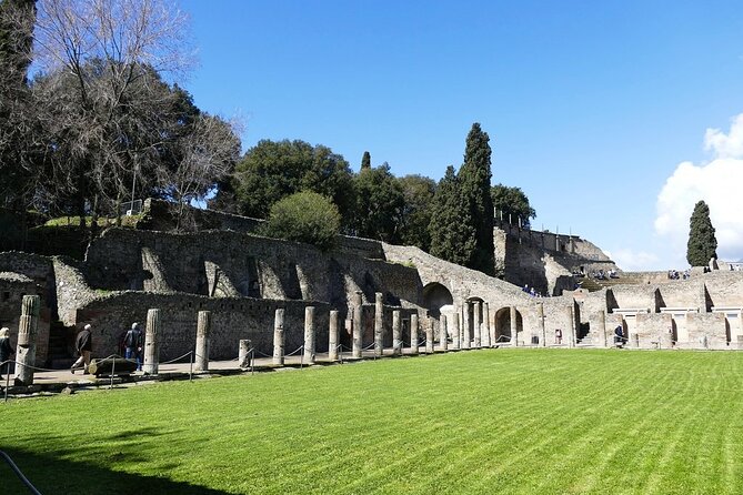 Explore Pompeii Half Day Highlights Tour with Pickup from Naples - What the two-hour site visit really covers