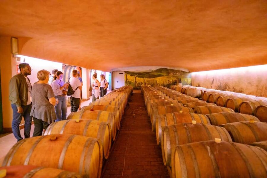 Florence: Chianti E-Bike Tour with Lunch & Two Wine Tastings - Guides, group size, and how the day feels