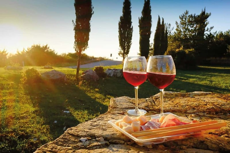Florence: Chianti Vineyards Tour with Wine Tasting & Dinner - Key points at a glance