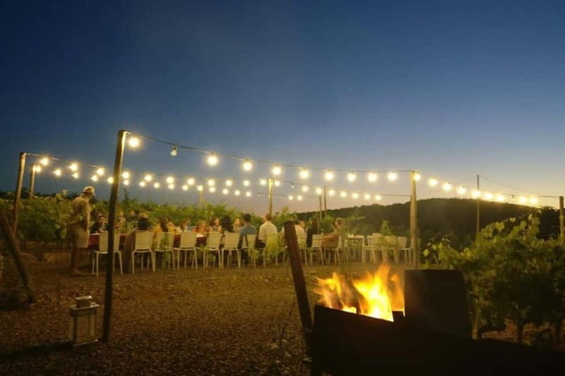 Florence: Chianti Vineyards Tour with Wine Tasting & Dinner - Wine, food, and the value of the evening