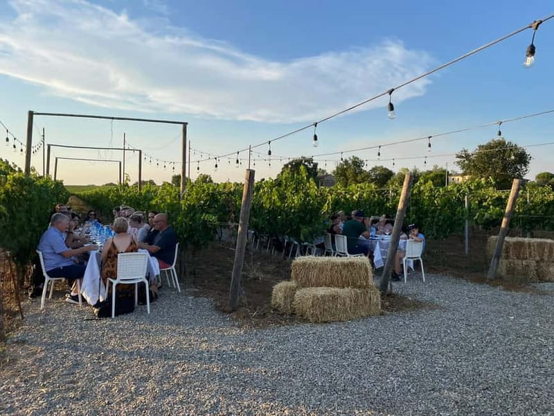 Florence: Chianti Vineyards Tour with Wine Tasting & Dinner - What the group size means for you