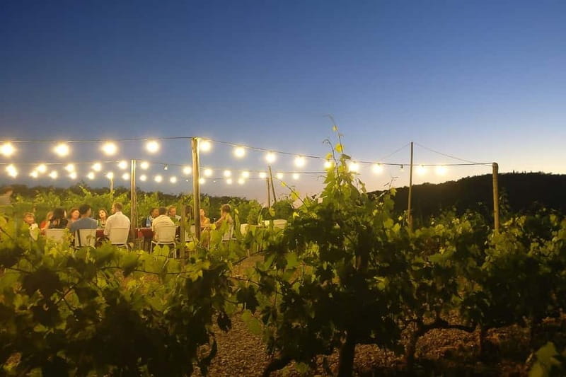 Florence: Chianti Vineyards Tour with Wine Tasting & Dinner - Is the Florence Chianti vineyard dinner worth booking?