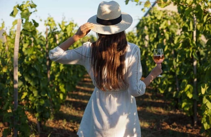 Florence: Chianti Vineyards Tour with Wine Tasting & Dinner - The estate, cellar, and first tastings