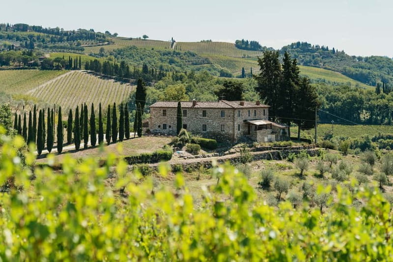 Florence: Chianti Wineries Tour with Wine Tasting - Key points to know before you book