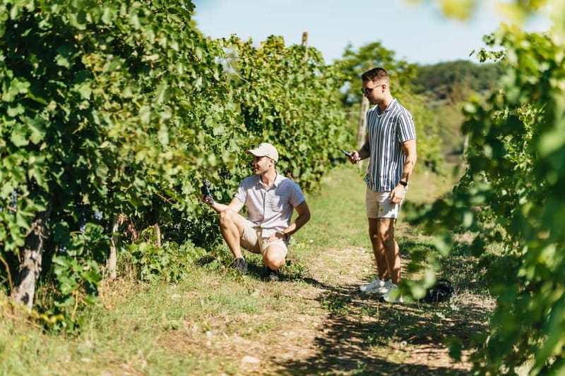 Florence: Chianti Wineries Tour with Wine Tasting - The value at $56.37 per person