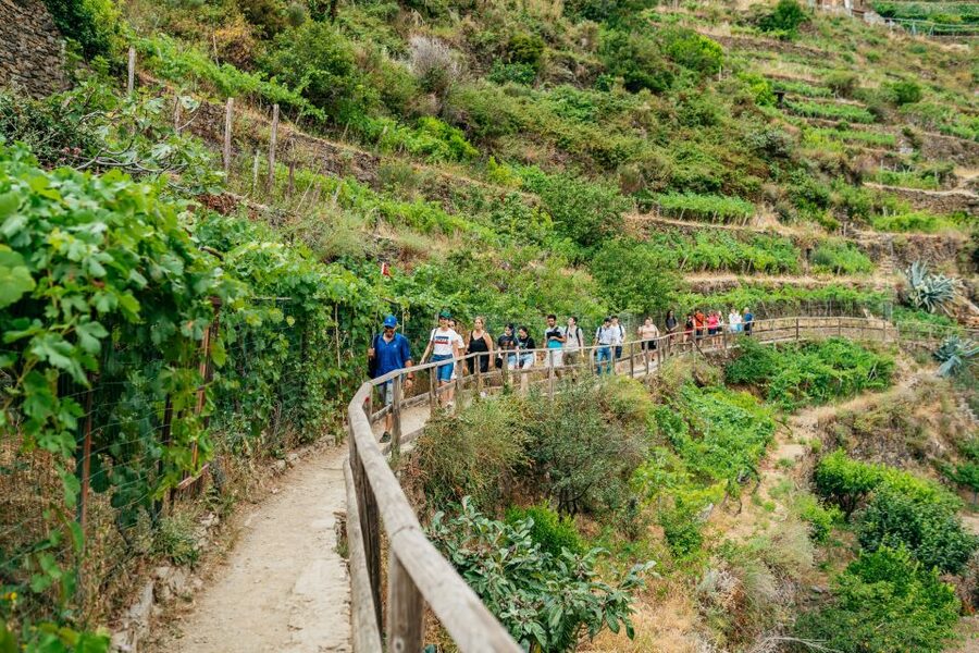Florence: Cinque Terre Day Trip with Optional Hike - Key things to know before booking