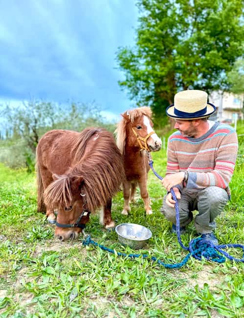 Florence: Countryside Tour with Wine Tasting & Pasta Class - Tasting five organic wines in the cellar