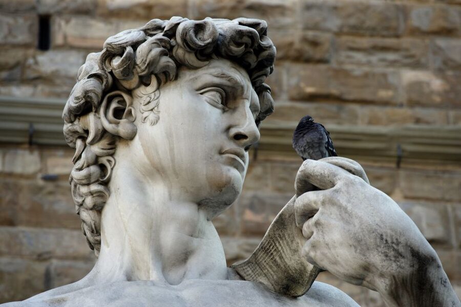 Florence: David's Accademia Gallery Guided Tour - Key points to know before booking