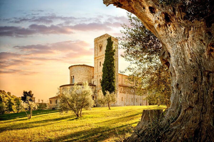 Florence: Monteriggioni & Val d'Orcia Optional Wine Tasting - Pienza and the taste of pecorino