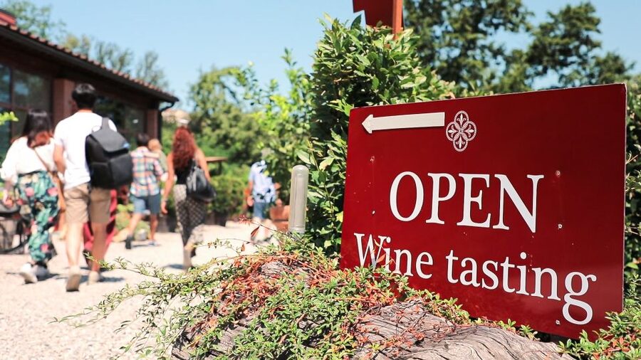 Florence: Pisa, Siena, S. Gimignano, Chianti Wine & Lunch - Should you book it?