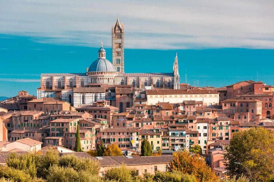 Florence: Siena & San Gimignano Day Trip with Lunch & Wine - An organic winery lunch in the Province of Siena
