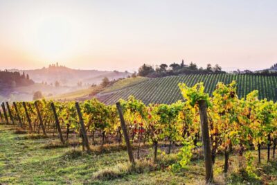 Siena & San Gimignano Day Trip with Lunch & Wine