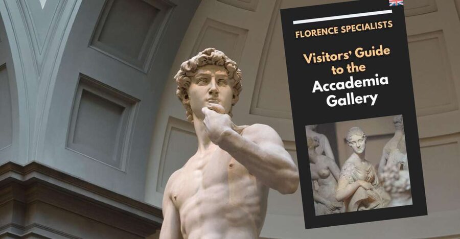 Florence: Timed Entry Ticket to Michelangelo's David & eBook - Should You Book It?