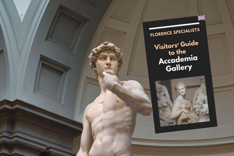 Florence: Timed Entry Ticket to Michelangelo's David & eBook - What Priority Entry Really Means