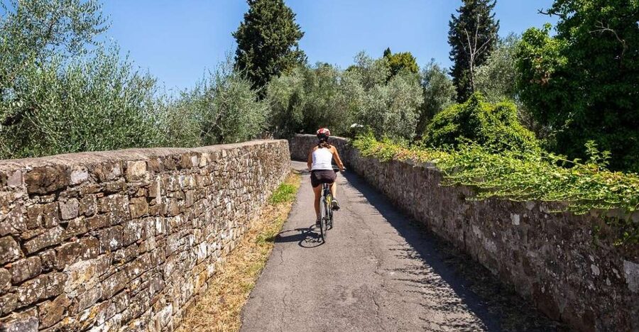 Florence: Tuscany Bike Tour with Wine & Olive Oil - Key points to know before you book
