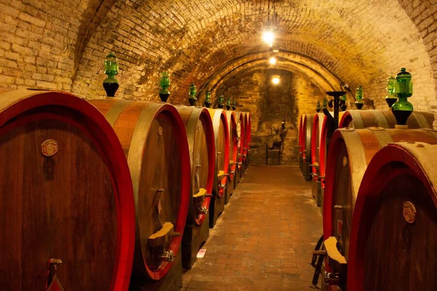 Florence: Valdorcia Wine, Brunello Montalcino, Montepulciano - Should you book the Montalcino and Val d’Orcia tour?