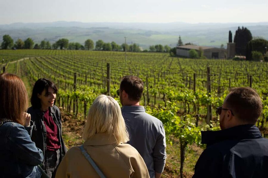 Florence: Valdorcia Wine, Brunello Montalcino, Montepulciano - A full day from Florence into Val d’Orcia