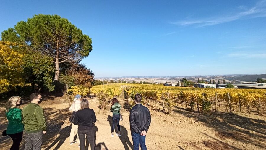 Florence: Valdorcia Wine, Brunello Montalcino, Montepulciano - Montepulciano and its underground city